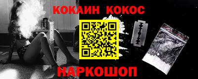 стаф Кингисепп