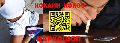 стаф Кингисепп