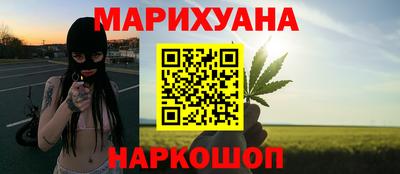 стаф Кингисепп